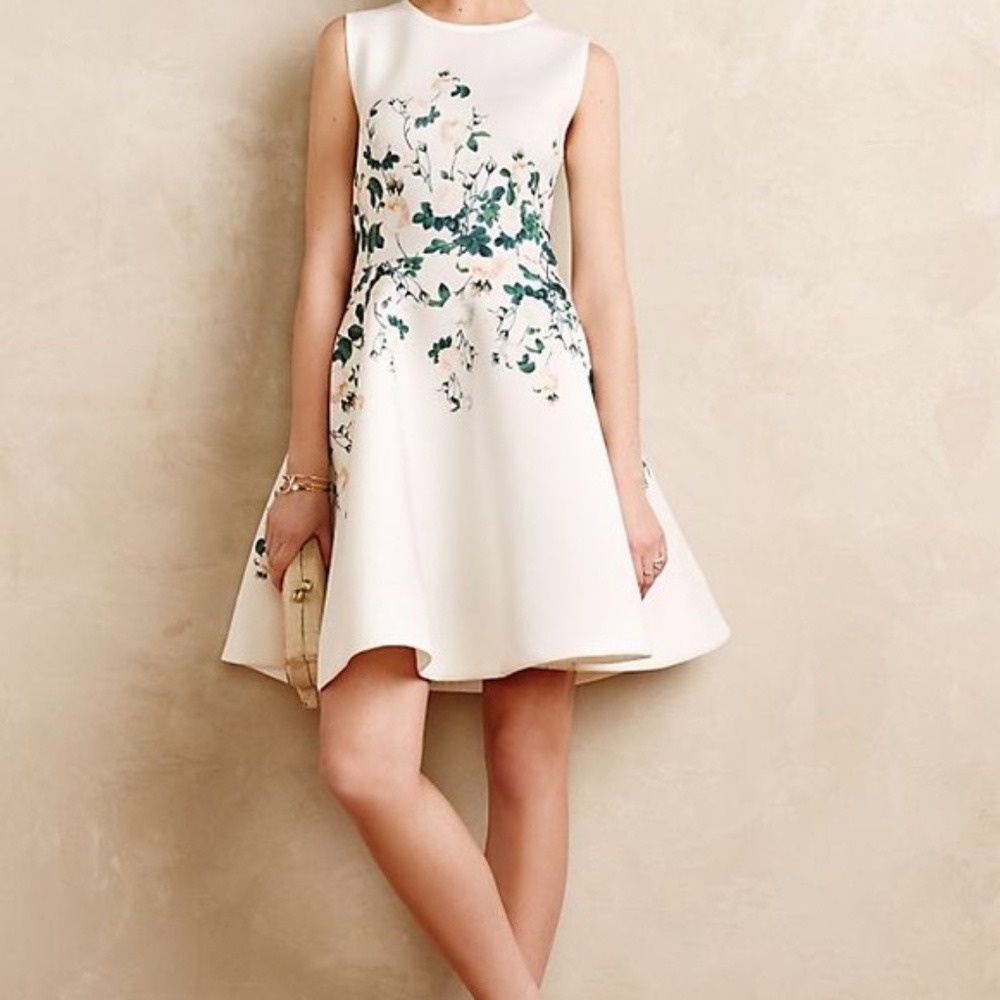 NWT Anthro Erin Fetherston Sweetheart Roses Dress